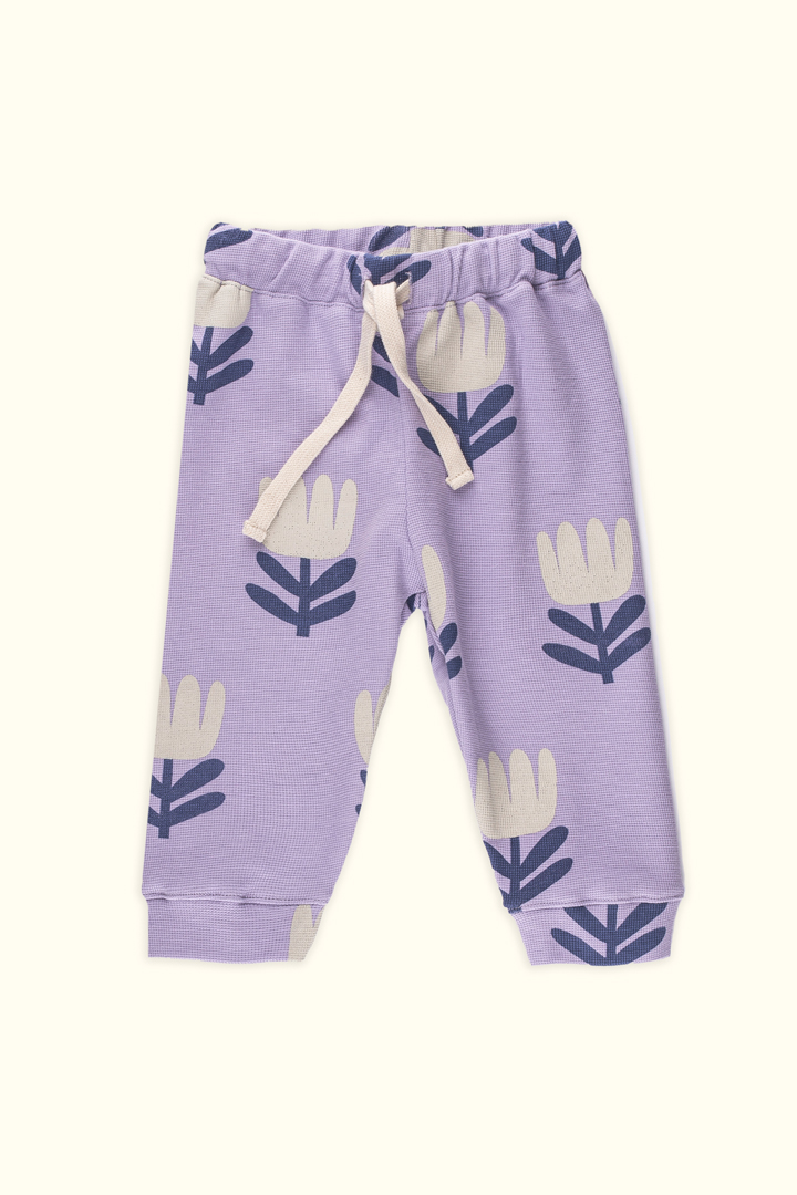 MINI-POU-08-24-23-115