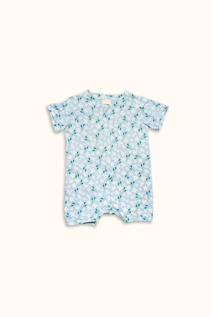 enterito-celeste-flores